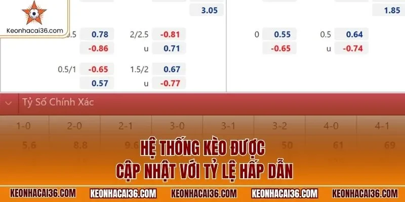 Hệ thống kèo được cập nhật với tỷ lệ hấp dẫn
