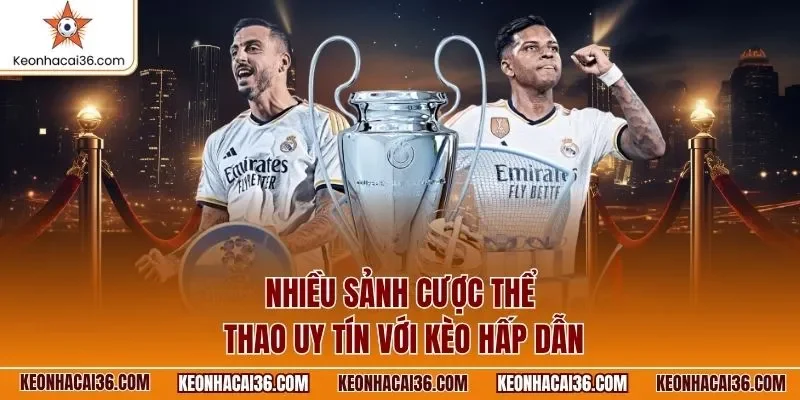 Nhiều sảnh cược thể thao uy tín với kèo hấp dẫn